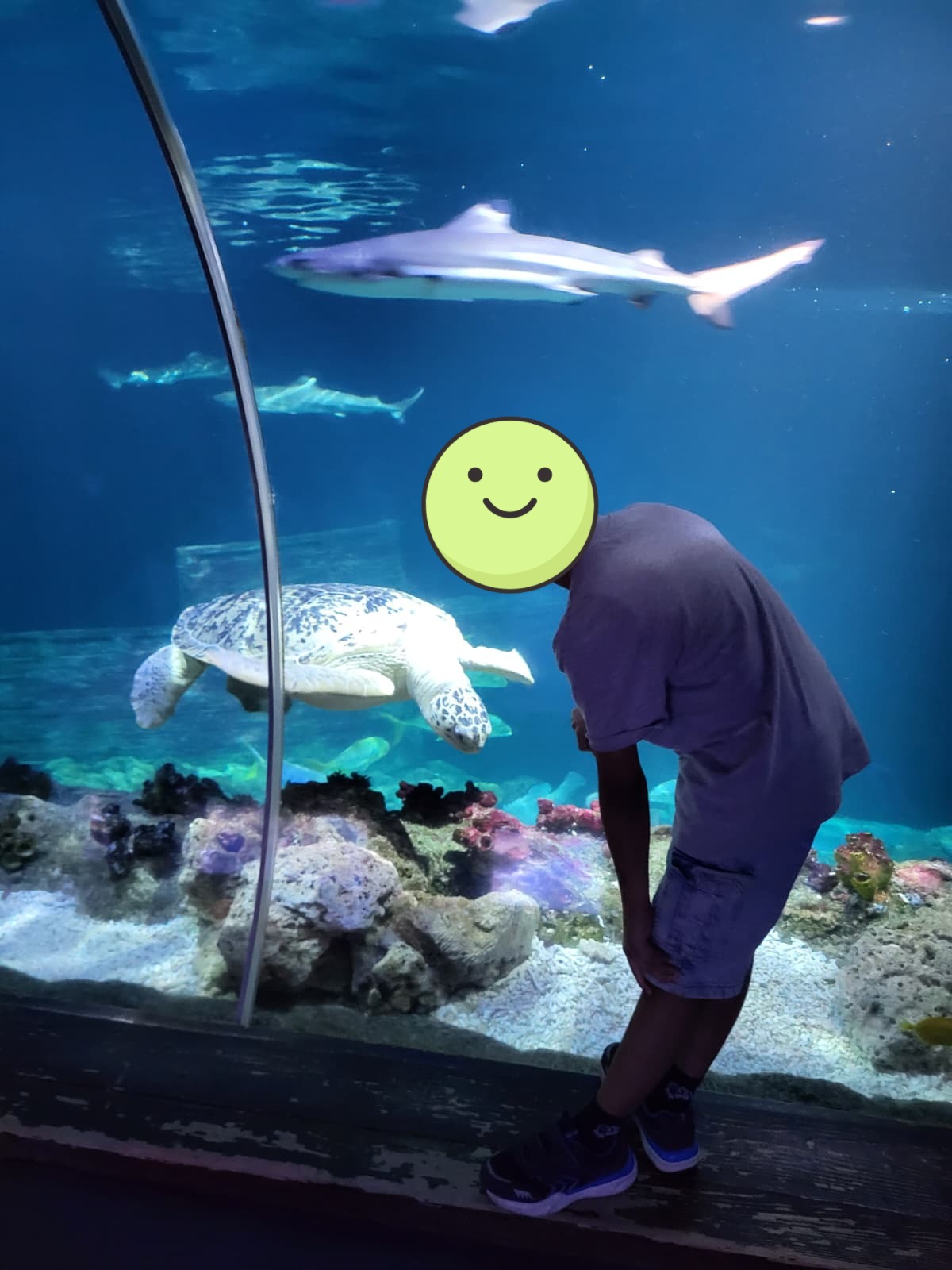 SeaLife9.jpg